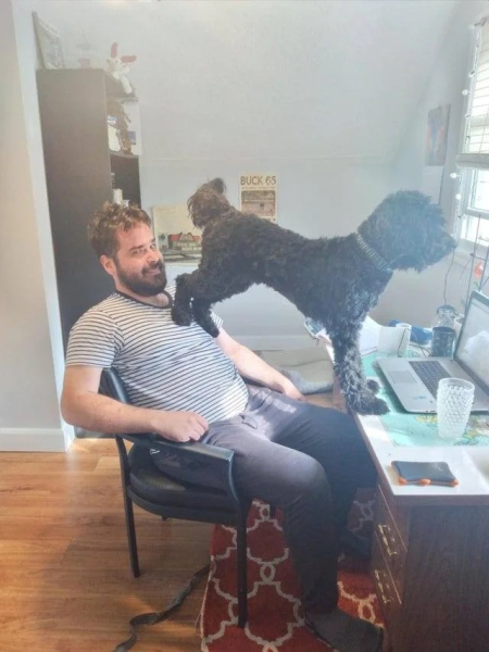 Минута отдыха Невозмутимая дерзость домашних животных, показывающих, кто главный Животные 