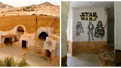 Минута отдыха Земляной карман Сахары: как берберы тысячу лет обманывали солнце Интересное 