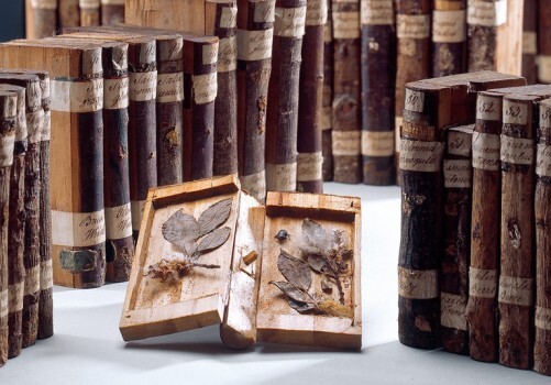 Минута отдыха Ксилотека - уникальное собрание деревянных книг Интересное Минута отдыха Ксилотека - уникальное собрание деревянных книг Интересное