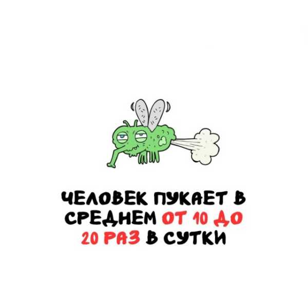 Минута отдыха Интересные короткие факты на все случаи жизни Интересное 