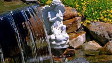 Минута отдыха Почему вода журчит? Интересное 