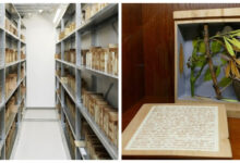 Минута отдыха Ксилотека - уникальное собрание деревянных книг Интересное 