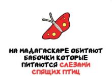 Минута отдыха Интересные короткие факты на все случаи жизни Интересное 