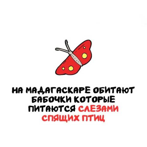 Минута отдыха Интересные короткие факты на все случаи жизни Интересное 