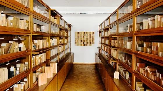 Минута отдыха Ксилотека - уникальное собрание деревянных книг Интересное Минута отдыха Ксилотека - уникальное собрание деревянных книг Интересное