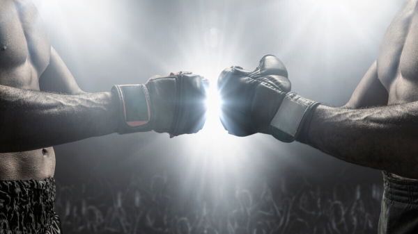 Минута отдыха Сын Джо Байдена вызвал сыновей Дональда Трампа на бои в клетке Спорт Минута отдыха Сын Джо Байдена вызвал сыновей Дональда Трампа на бои в клетке Спорт