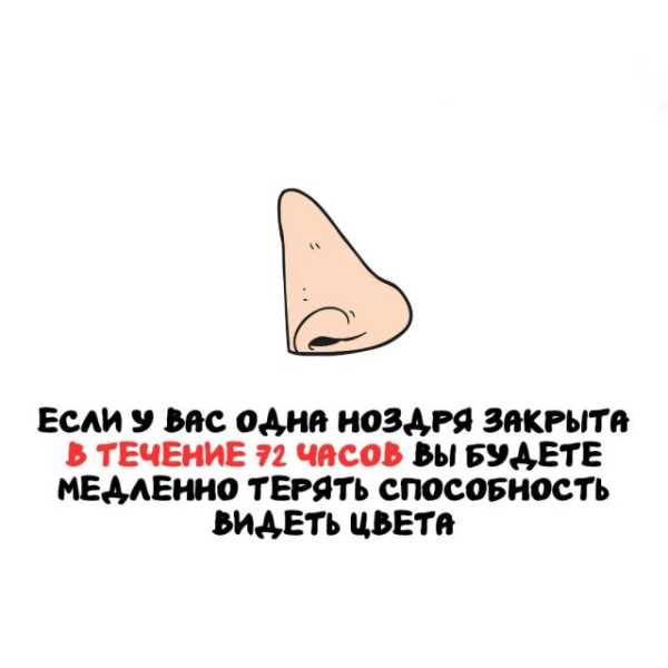 Минута отдыха Интересные короткие факты на все случаи жизни Интересное 