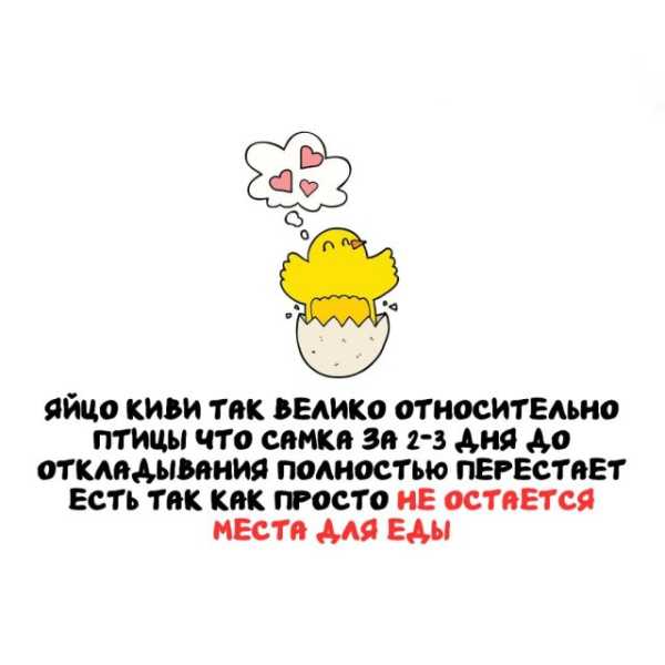 Минута отдыха Интересные короткие факты на все случаи жизни Интересное 