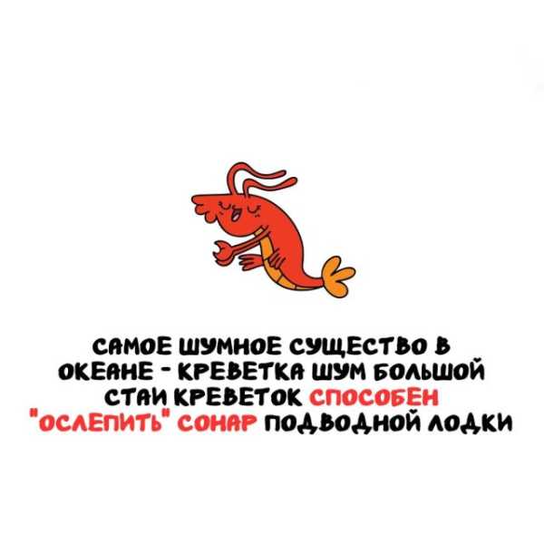 Минута отдыха Интересные короткие факты на все случаи жизни Интересное 