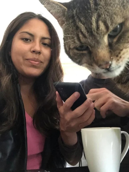 Минута отдыха Смешные «фотобомбы», где питомцы случайно украли весь кадр Животные 