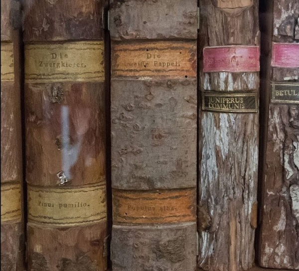 Минута отдыха Ксилотека - уникальное собрание деревянных книг Интересное Минута отдыха Ксилотека - уникальное собрание деревянных книг Интересное