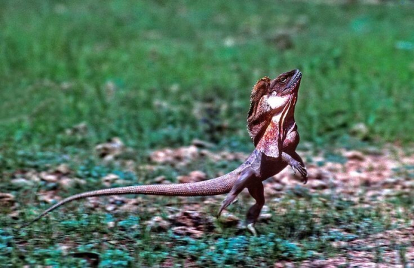 Минута отдыха 8 фактов о нашем мире, которые при всём желании не получится забыть Интересное 