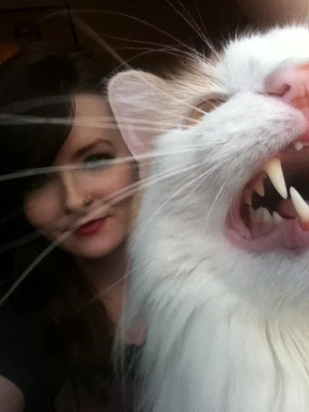 Минута отдыха Смешные «фотобомбы», где питомцы случайно украли весь кадр Животные 