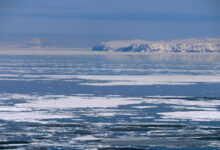 Минута отдыха 11 лет мечтала о русской земле. Отчаянный поступок спортсменки из США потряс мир Спорт 