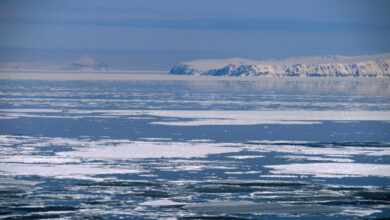 Минута отдыха 11 лет мечтала о русской земле. Отчаянный поступок спортсменки из США потряс мир Спорт 
