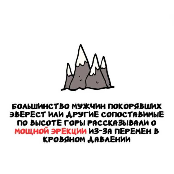 Минута отдыха Интересные короткие факты на все случаи жизни Интересное 