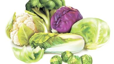 Минута отдыха Не от мира сего: овощи с грядки с неоднозначной репутацией. Вы готовы бросить им вызов? Сад огород 