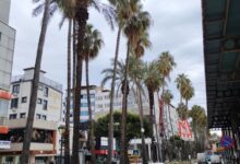 Минута отдыха Рубль покоряет турецкие берега Туризм 