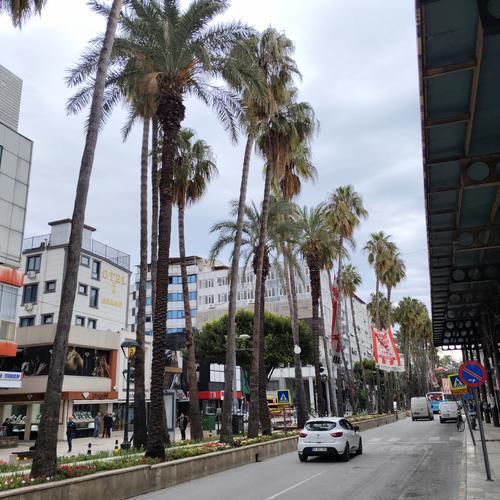 Минута отдыха Рубль покоряет турецкие берега Туризм 