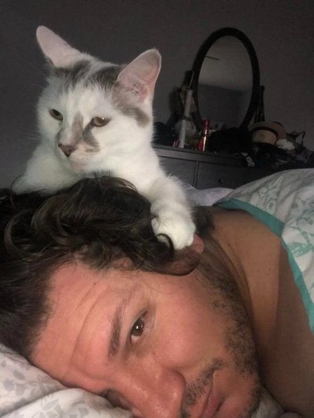 Минута отдыха Невозмутимая дерзость домашних животных, показывающих, кто главный Животные 