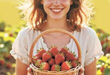 Минута отдыха Весенняя забота о клубнике Сад огород 