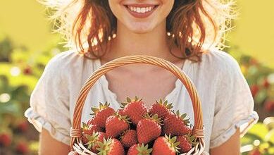 Минута отдыха Весенняя забота о клубнике Сад огород 