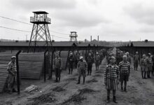 Минута отдыха Как немецкие инженеры помогали рейху создавать крематории История 