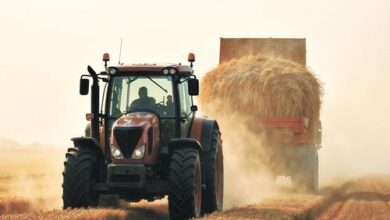 Минута отдыха Мы его теряем Общество 