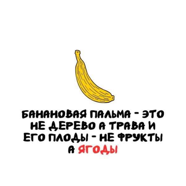 Минута отдыха Интересные короткие факты на все случаи жизни Интересное 