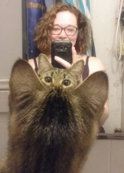 Минута отдыха Смешные «фотобомбы», где питомцы случайно украли весь кадр Животные 