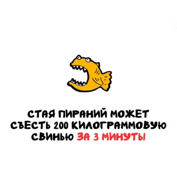 Минута отдыха Интересные короткие факты на все случаи жизни Интересное 