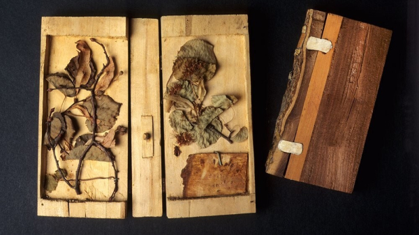 Минута отдыха Ксилотека - уникальное собрание деревянных книг Интересное Минута отдыха Ксилотека - уникальное собрание деревянных книг Интересное