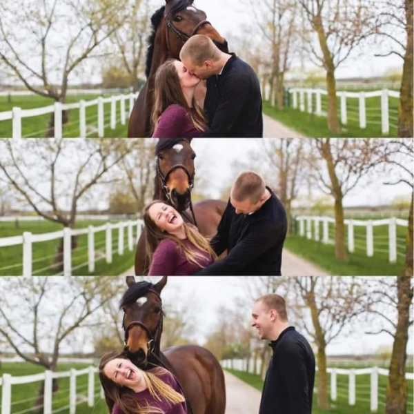 Минута отдыха Невозмутимая дерзость домашних животных, показывающих, кто главный Животные 