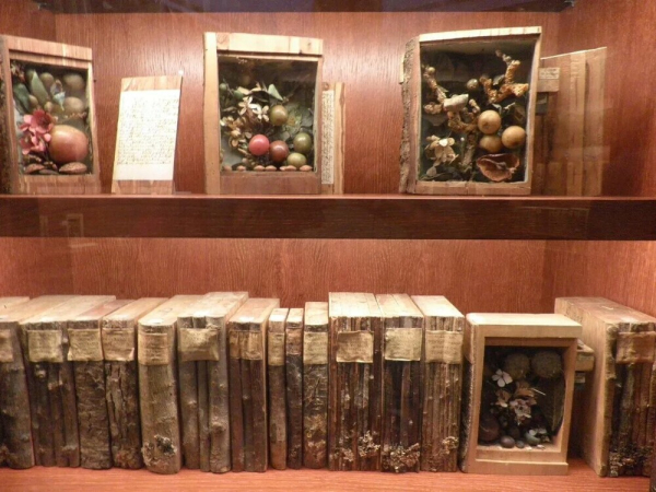 Минута отдыха Ксилотека - уникальное собрание деревянных книг Интересное Минута отдыха Ксилотека - уникальное собрание деревянных книг Интересное