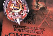 Минута отдыха Смерш эпохи Интернета Шпионаж 