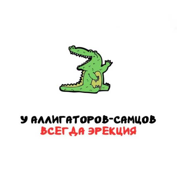 Минута отдыха Интересные короткие факты на все случаи жизни Интересное 