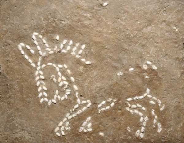 Минута отдыха Неожиданные, загадочные и удивительные артефакты прошлого Интересное 