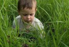 Минута отдыха Весна опасна насекомыми Полезности эксклюзив насекомые кишечные инфекции Игорь Михайлов здоровье весна 