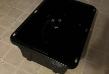 Минута отдыха Забавные способности котиков, которые живут по своим правилам Животные 