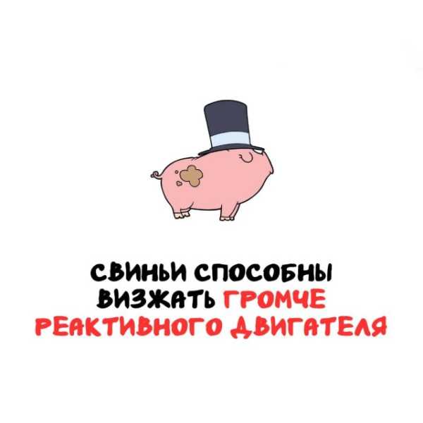 Минута отдыха Интересные короткие факты на все случаи жизни Интересное 