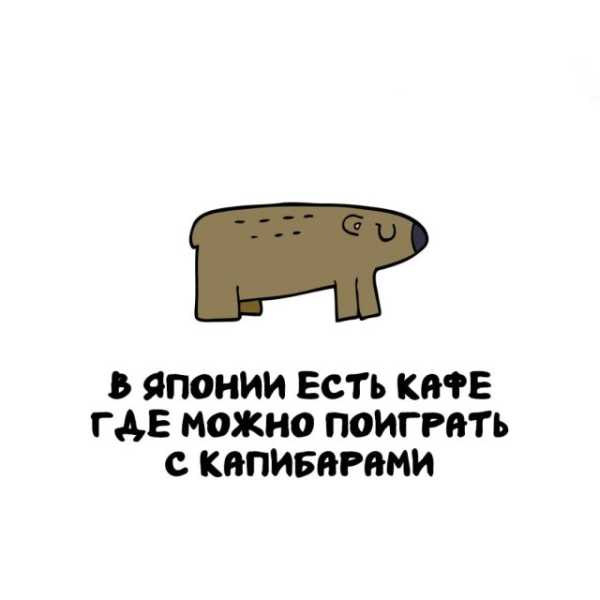 Минута отдыха Интересные короткие факты на все случаи жизни Интересное 