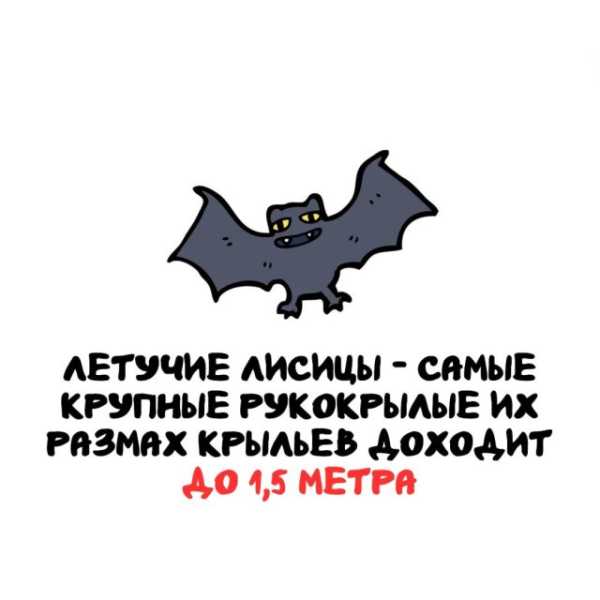 Минута отдыха Интересные короткие факты на все случаи жизни Интересное 