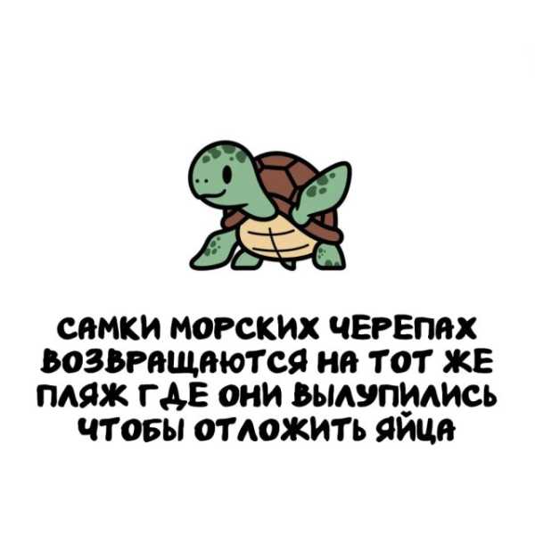 Минута отдыха Интересные короткие факты на все случаи жизни Интересное 