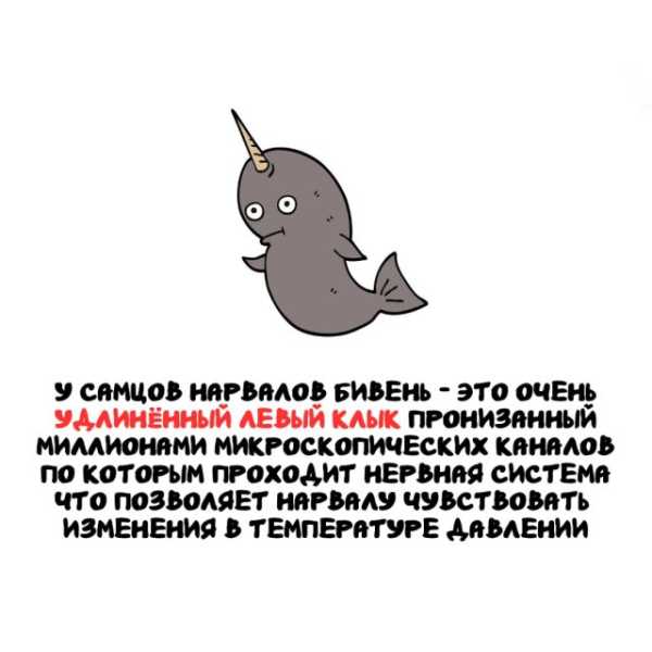 Минута отдыха Интересные короткие факты на все случаи жизни Интересное 