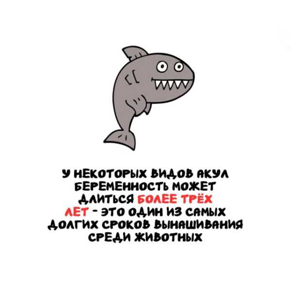 Минута отдыха Интересные короткие факты на все случаи жизни Интересное 