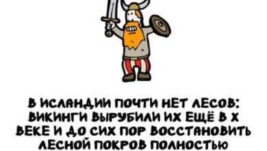 Минута отдыха Интересные короткие факты на все случаи жизни Интересное 