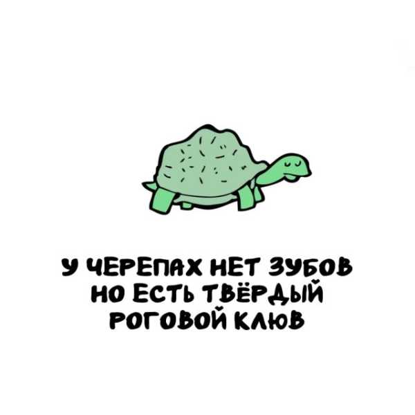 Минута отдыха Интересные короткие факты на все случаи жизни Интересное 