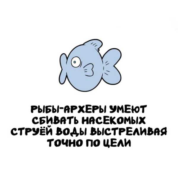 Минута отдыха Интересные короткие факты на все случаи жизни Интересное 