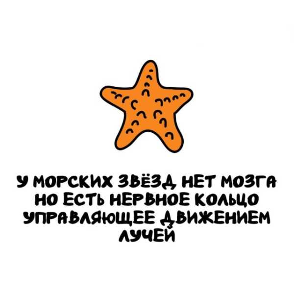 Минута отдыха Интересные короткие факты на все случаи жизни Интересное 
