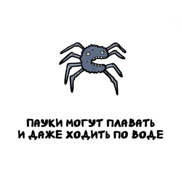 Минута отдыха Интересные короткие факты на все случаи жизни Интересное 